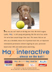 Max Interactive Magazine Ads 1